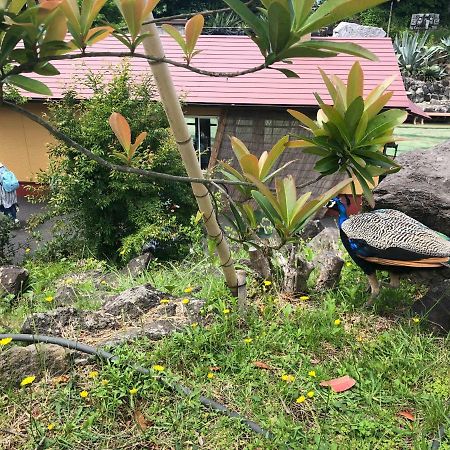 Forest Villa Olive Futo Luaran gambar